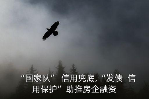 信用風(fēng)險(xiǎn)緩釋憑證,crmw信用風(fēng)險(xiǎn)緩釋憑證