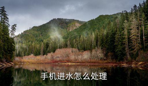 處理方法,借唄無(wú)力還款最佳處理方法