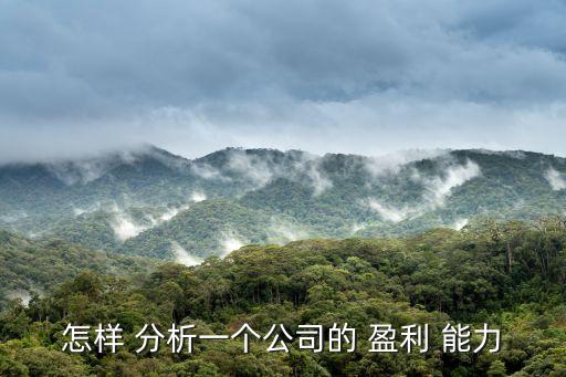 盈利能力分析