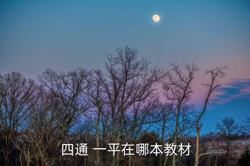 四通一平