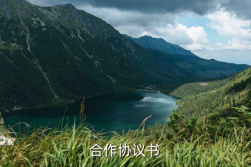 電子合同法律法規(guī)的論文范文