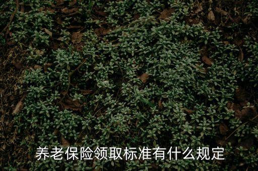 養(yǎng)老概念股,智慧養(yǎng)老概念股