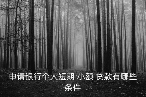 申請(qǐng)銀行個(gè)人短期 小額 貸款有哪些條件