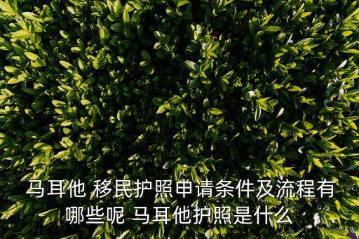  馬耳他 移民護照申請條件及流程有哪些呢 馬耳他護照是什么