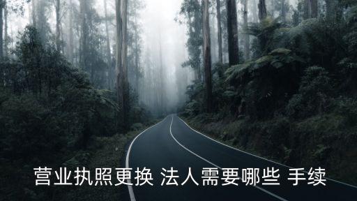 營(yíng)業(yè)執(zhí)照變更法人需要什么手續(xù),個(gè)體工商營(yíng)業(yè)執(zhí)照變更法人需要什么手續(xù)