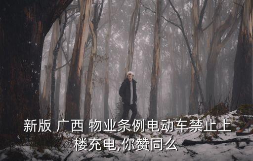 廣西物業(yè)管理條例2022年新版,物業(yè)管理條例2022年新法規(guī)物業(yè)費
