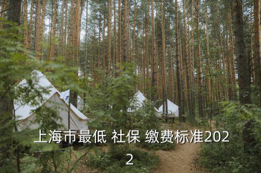 上海社保繳費(fèi)比例,上海市交社保最低標(biāo)準(zhǔn)