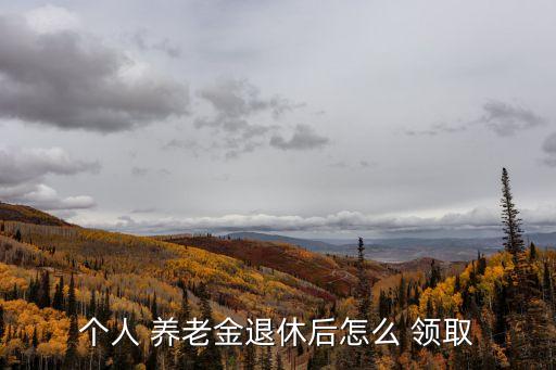 個人 養(yǎng)老金退休后怎么 領(lǐng)取