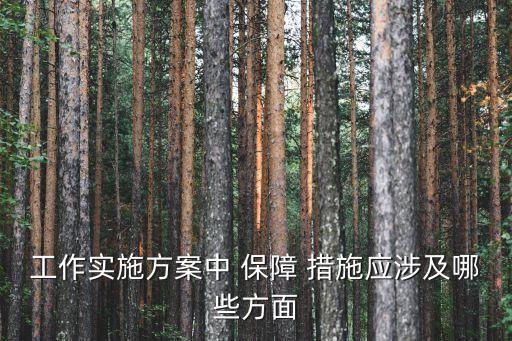 保障措施