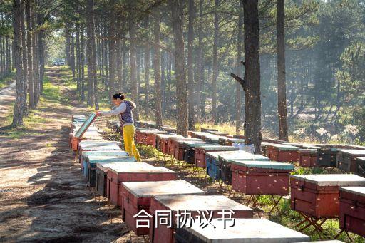 甲乙雙方任何一方違約的合同