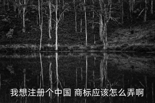 中國(guó)商標(biāo)