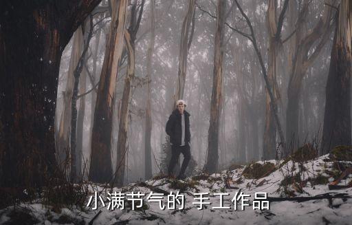 小滿手工粉