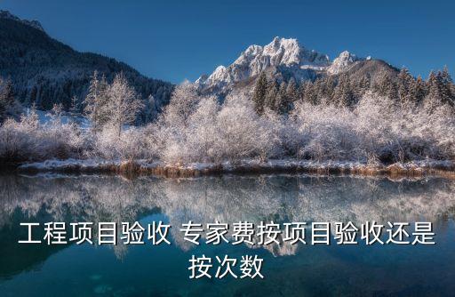 專家費標(biāo)準(zhǔn),項目評審專家費標(biāo)準(zhǔn)