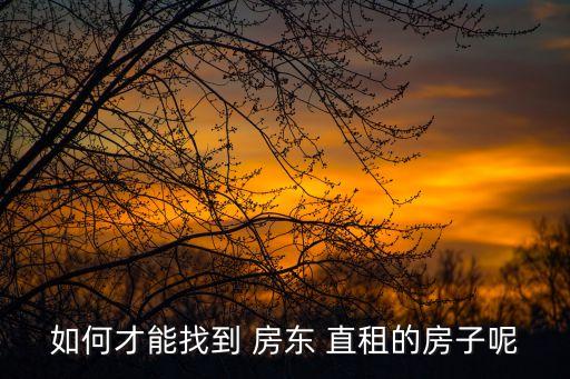 房東直租