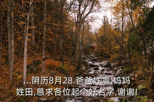 袁海清