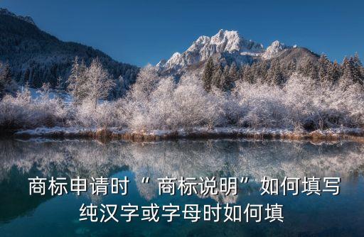 商標(biāo)說(shuō)明