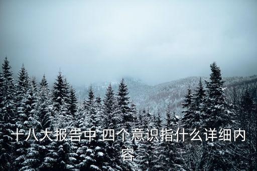 十八大報(bào)告中 四個(gè)意識指什么詳細(xì)內(nèi)容