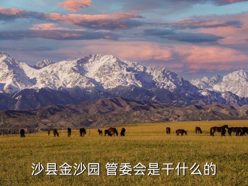管委會是干嘛的,綿陽市高新區(qū)管委會是干嘛的