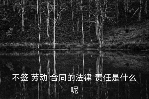 不簽 勞動(dòng) 合同的法律 責(zé)任是什么呢