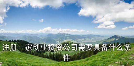 創(chuàng)投企業(yè)