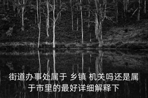 鄉(xiāng)鎮(zhèn)機關