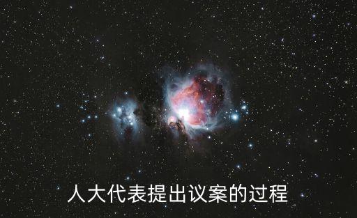 人大代表提出議案的過程