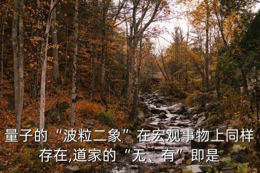 有無(wú)