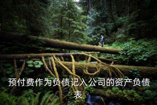 預(yù)付費(fèi)用