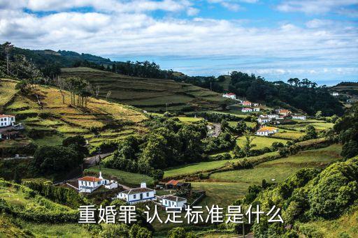 重婚罪怎么認(rèn)定,新婚姻法重婚罪怎么認(rèn)定