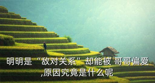 被哥哥