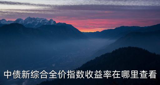 中國國債信息網(wǎng),中國債券信息網(wǎng)app