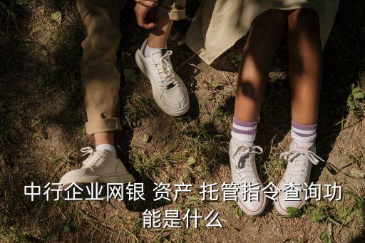 資產(chǎn)托管,招商銀行資產(chǎn)托管