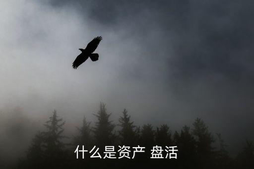 盤活是什么意思,一子落而滿盤活是什么意思