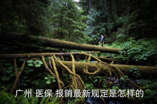 廣州醫(yī)保報銷比例,廣州職工醫(yī)保報銷比例