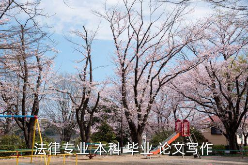 法律專業(yè) 本科 畢業(yè) 論文寫作