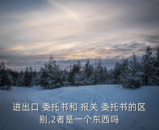 進(jìn)出口 委托書和 報關(guān) 委托書的區(qū)別,2者是一個東西嗎