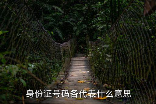 身份證號是什么,重大在逃嫌疑犯身份證號是什么