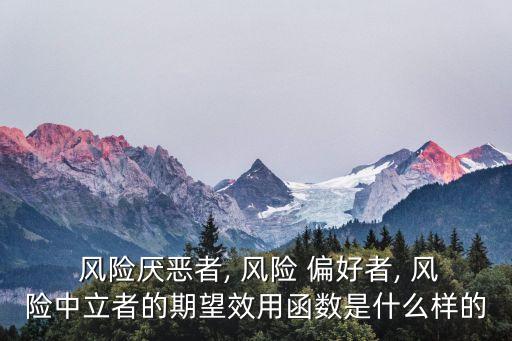風(fēng)險(xiǎn)偏好