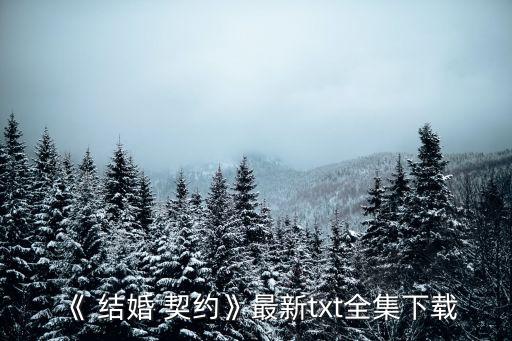 結(jié)婚契約