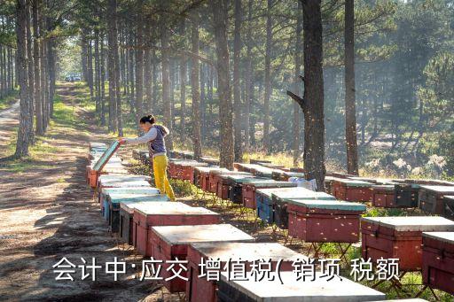 增值稅銷項稅額