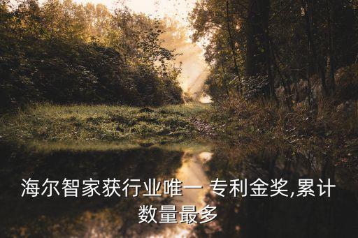 中國(guó)專利公布