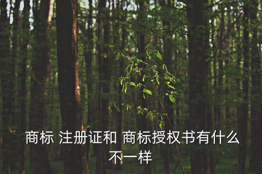 商標(biāo)注冊證是什么,互聯(lián)網(wǎng)點商標(biāo)注冊證是什么