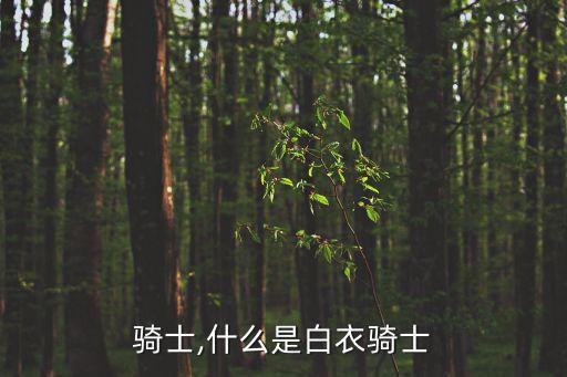 白衣騎士,什么是白衣騎士