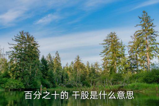 干股是什么意思,10%的干股是什么意思