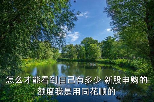 滬新股額