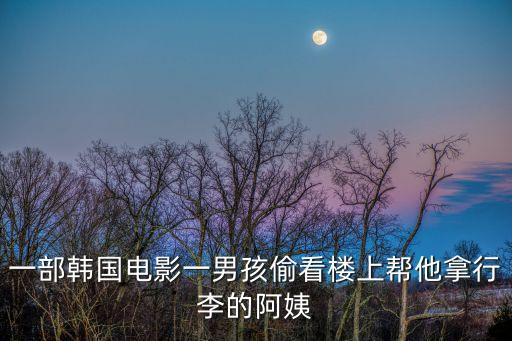 一部韓國電影一男孩偷看樓上幫他拿行李的阿姨