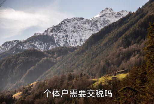 個(gè)體戶需要報(bào)稅嗎,2023年個(gè)體戶需要報(bào)稅嗎
