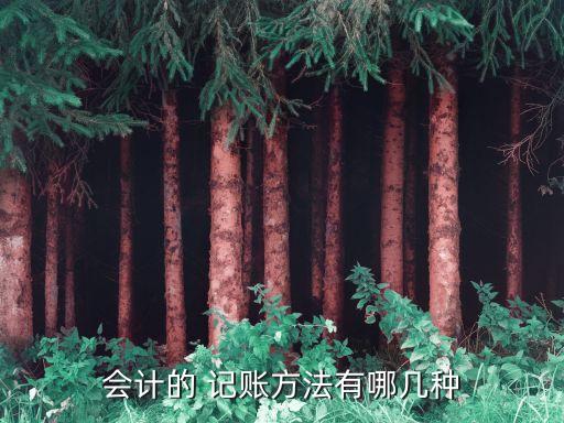 收付記賬法,總預(yù)算會計記賬采用收付記賬法