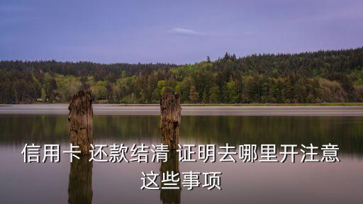 還款證明,桔多多如何開具還款證明