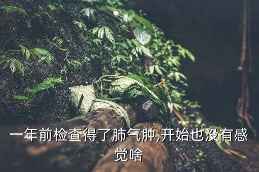 肺功能分級,copd肺功能分級